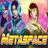MetaSpace